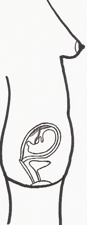 pregnancy week 18